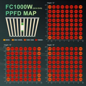 fc-1000w-evo