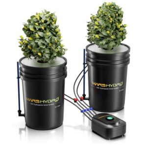 PREMIUM MARS HYDRO 5-GALLON DWC HYDROPONIC SYSTEM KIT WITH 2 BUCKETS (8-INCH EACH)