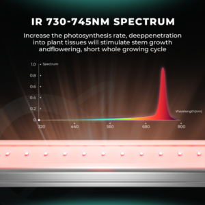 UV30+IR15+R30